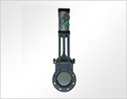 JZ674H-10C薄型双闸板阀